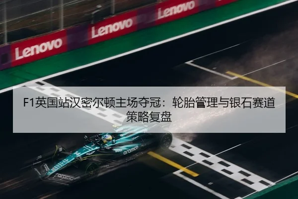 F1英国站汉密尔顿主场夺冠：轮胎管理与银石赛道策略复盘